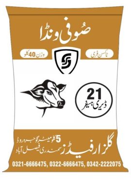 WhatsApp Image 2023-12-17 at 14.59.34_f6cceacd