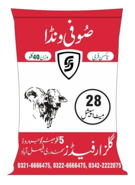 WhatsApp Image 2023-12-17 at 14.59.39_2336a399