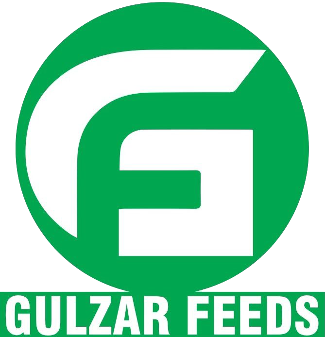 Gulzar Feeds